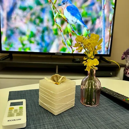 Lovely In The Center